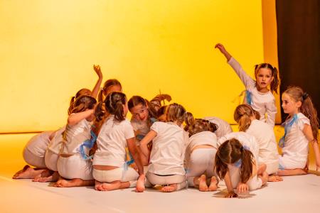 Območna revija plesnih skupin Finesa plesa 2024 (8)